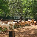 Thiruvananthapuram Zoo Trivandrum 